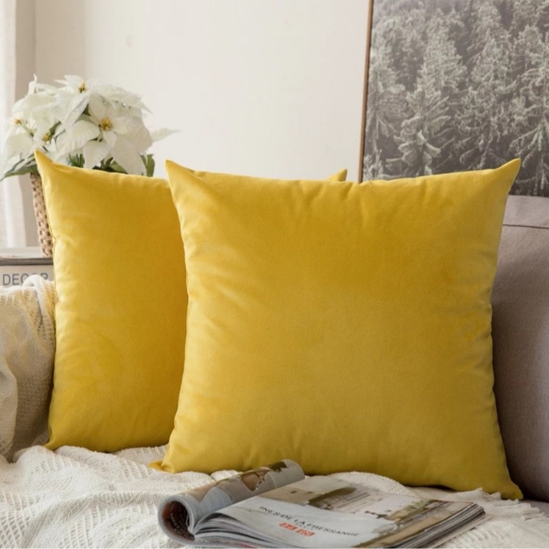 Dutch Velvet Solid Color Car S - đánh giá và giá Pillow Insert 18X18
